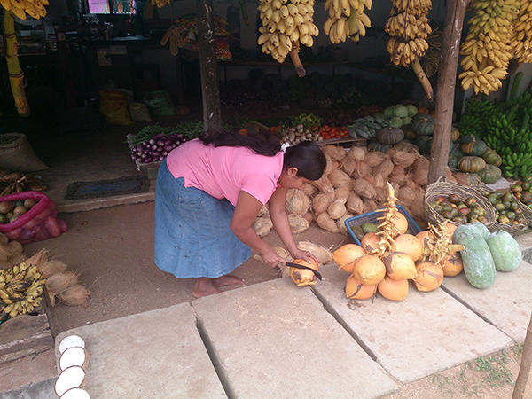 Meeting the future financial management of Sri Lanka cutting king coconuts