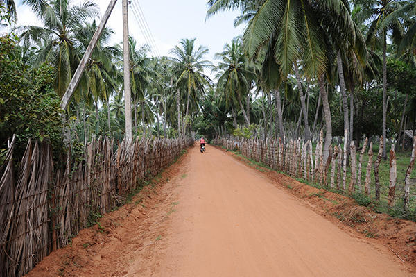 Lovely path