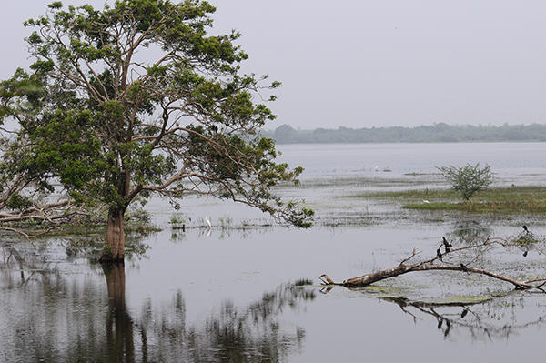 Water reservation