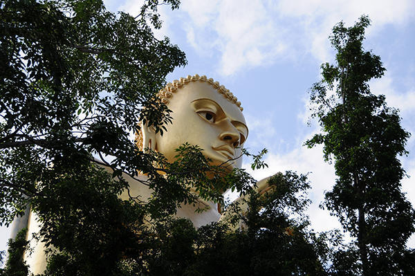 The Buddha