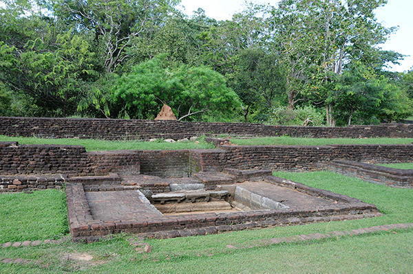 Water gardens around the rock