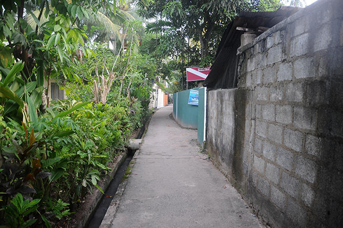 Small path to our hidden guest house