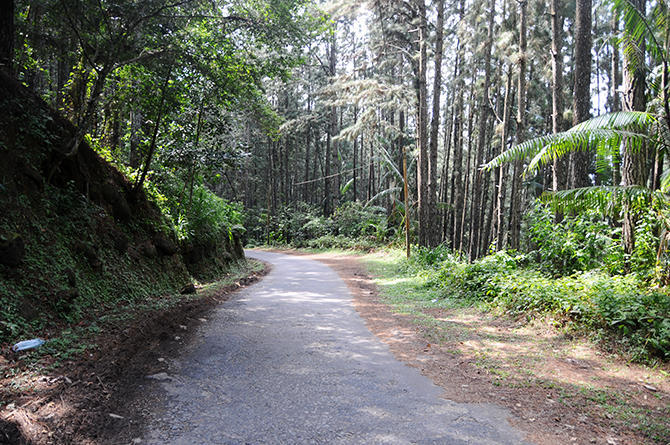 We loved to cycle this small and narrow road