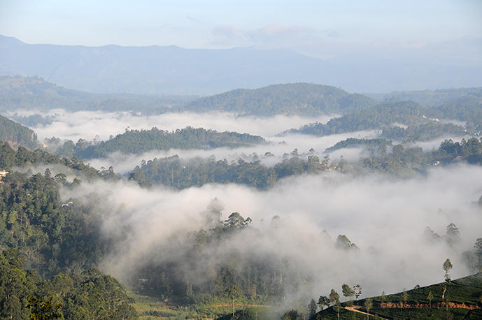 Misty mountains in the morning at Haputale