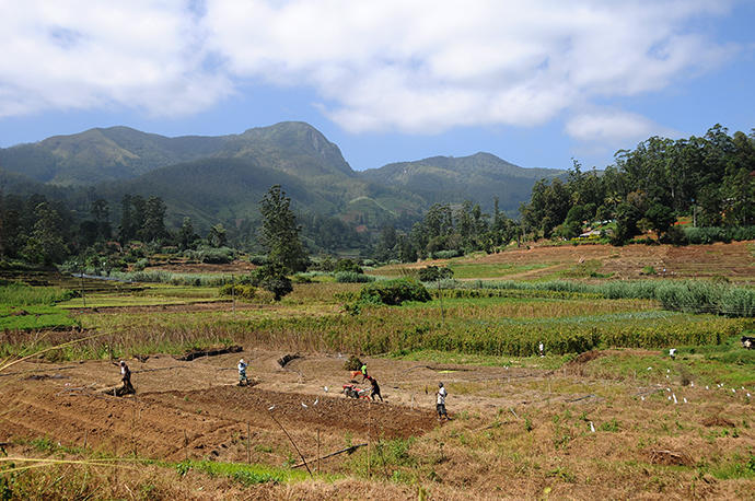 This is the vegetable region, everywhere people working in the fields