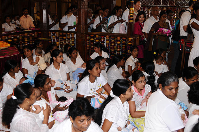 Privileged family area opposite of the tooth relic