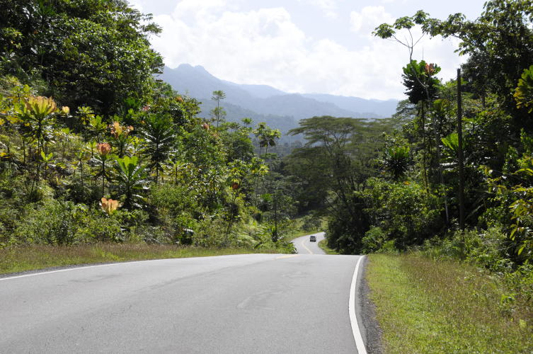Road to Punta Pena