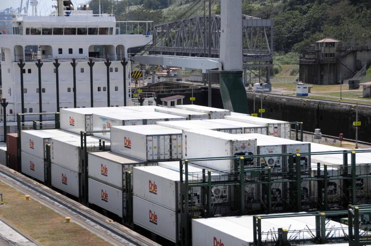 A huge ship transporting bananas