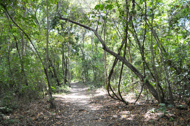 Parque Metropolitano