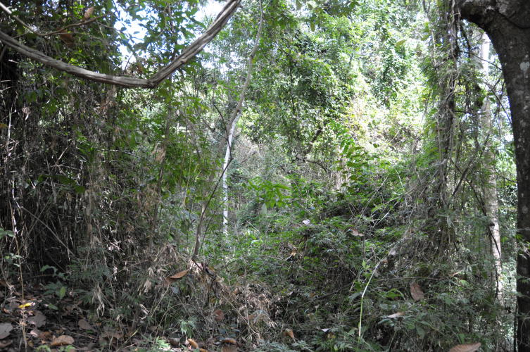 Parque Metropolitano