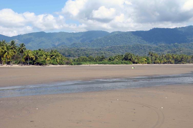 Parque Nacional Ballena