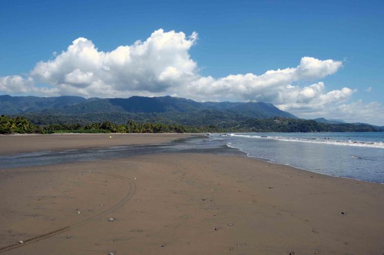 Parque Nacional Ballena