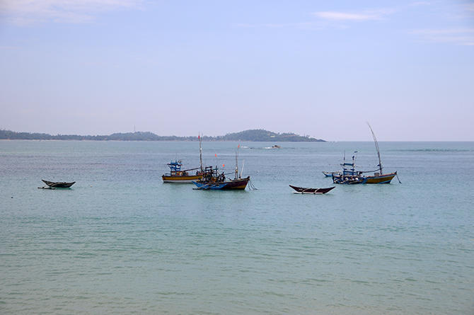 Fishing boats