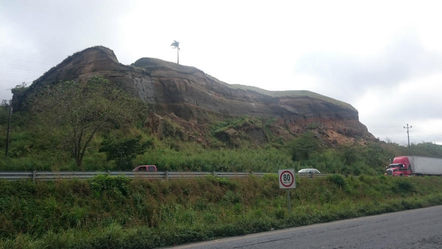 Very windy watch the palmtree on the hill