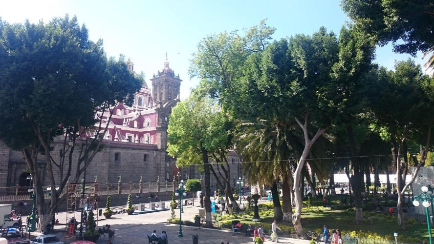 Zocalo and Cathedral
