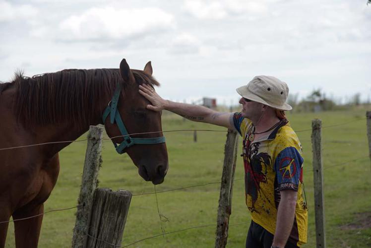 Horse whisperer