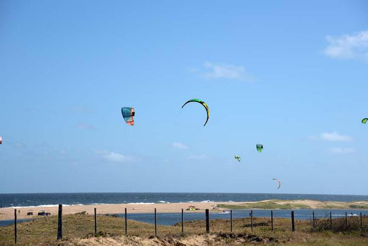 They enjoy the wind we don´t!!! (headwind)