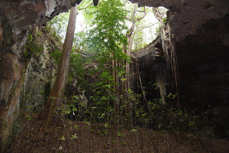 Former cenote iside Lol Tun