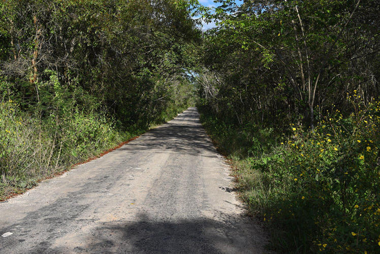 Road got very narrow