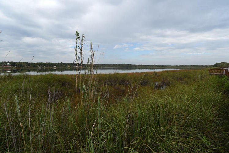 View of the lake