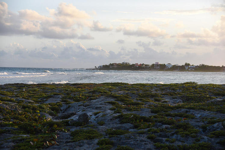 Sea front Akumal