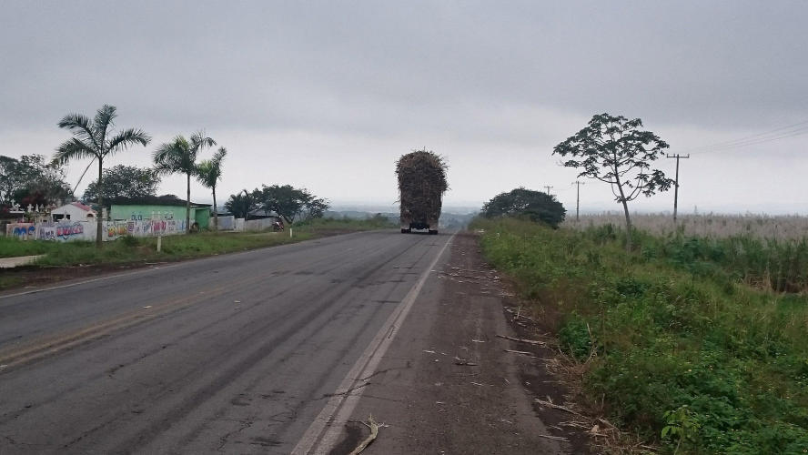 Truck loaded with sugar cane