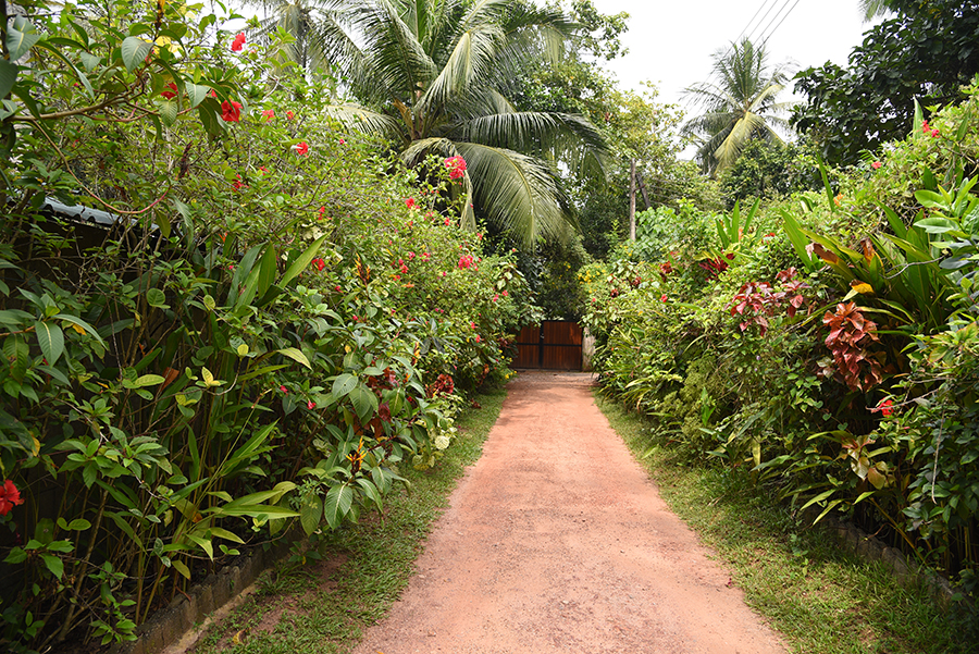 Path to the main street