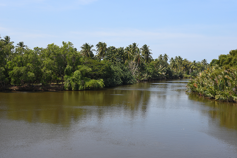 Peaceful water