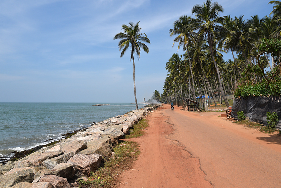 Cycling along the cost