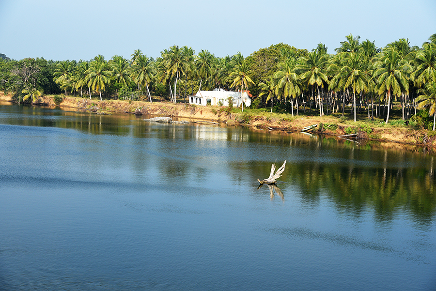 River scenery