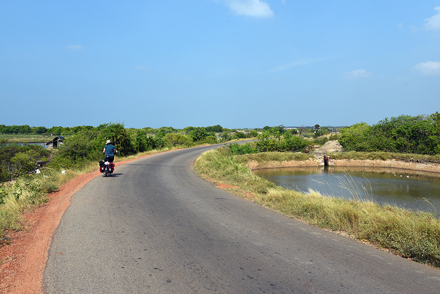 Riding through fish farms