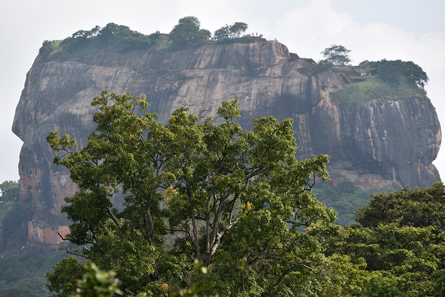 The rock close up