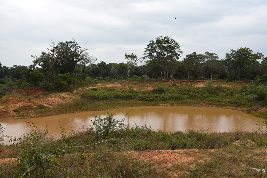 Elephant drinking spot