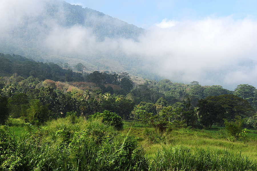 Mountain landscape