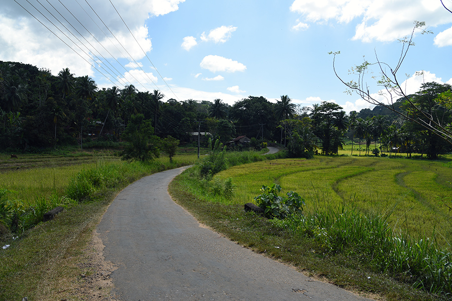 Small road to the resort