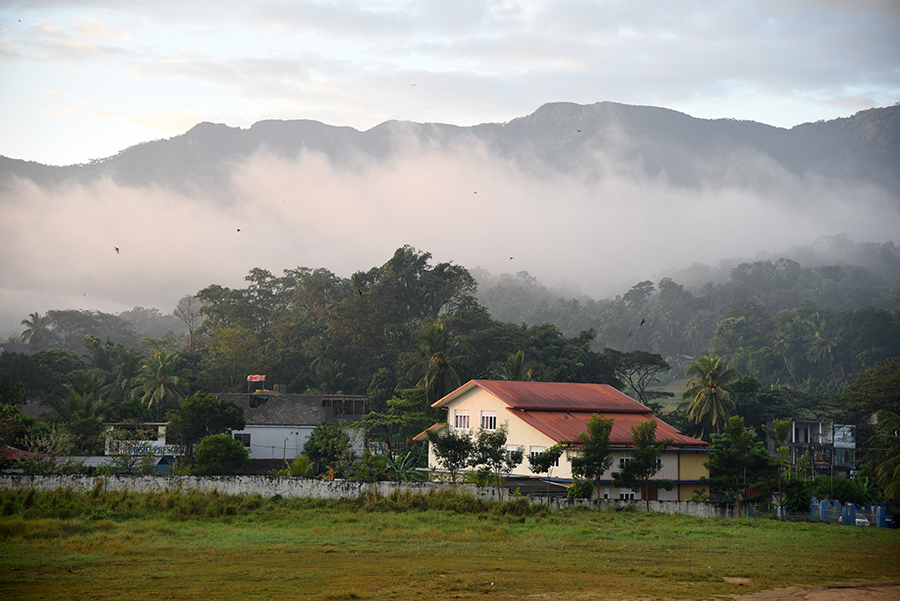 Mist in the morning