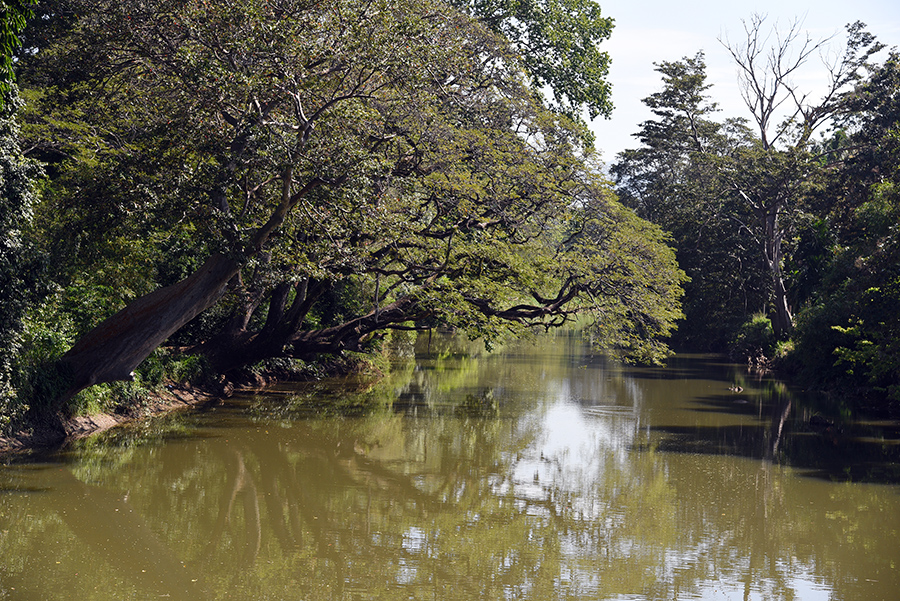 View from a bridge