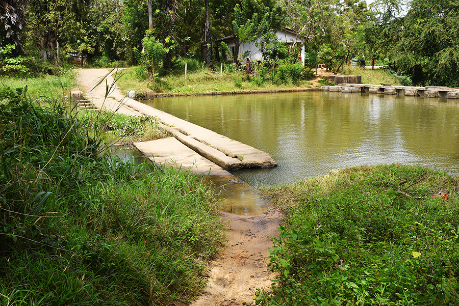 Crossing a small bridge