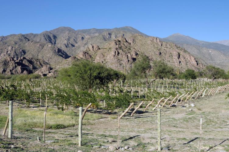 Leaving Cafayate