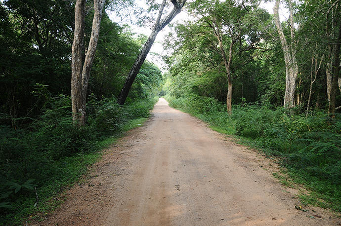 Way to Pidurangala