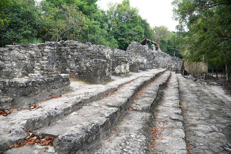 Big steps for the tiny ancient mayas