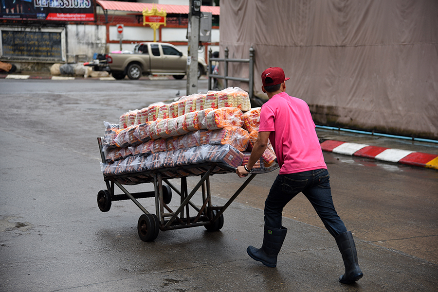 Carrying stuff for the market