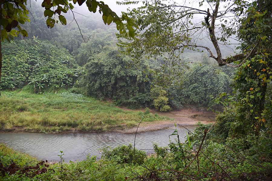 The river was going parallel to the road