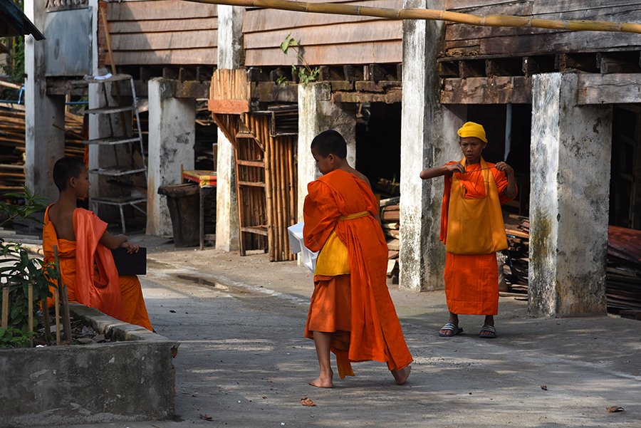  Novice monks