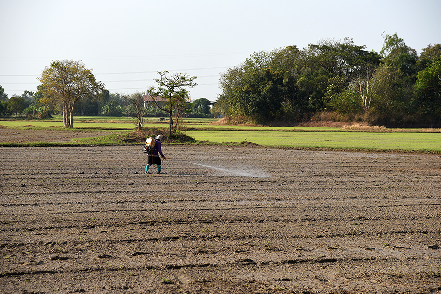 Farmer spraying fertilizers