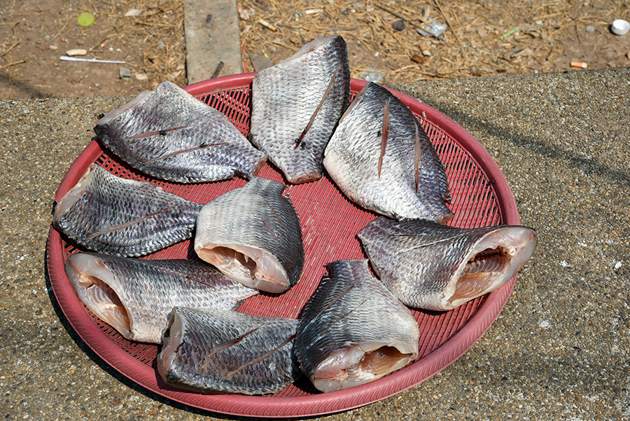 Drying fish