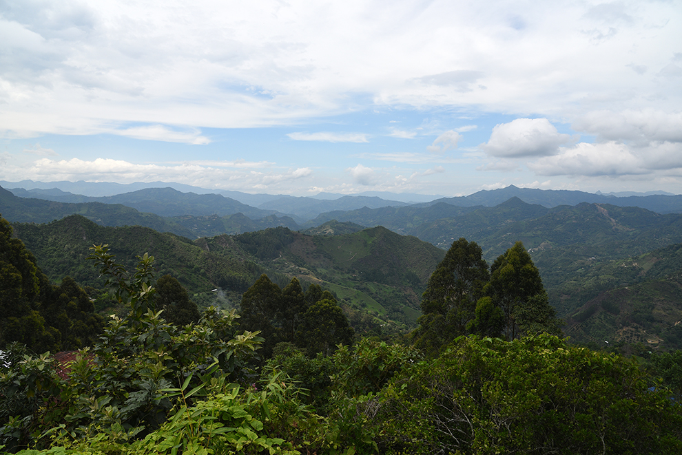 Beautiful view of the mountains