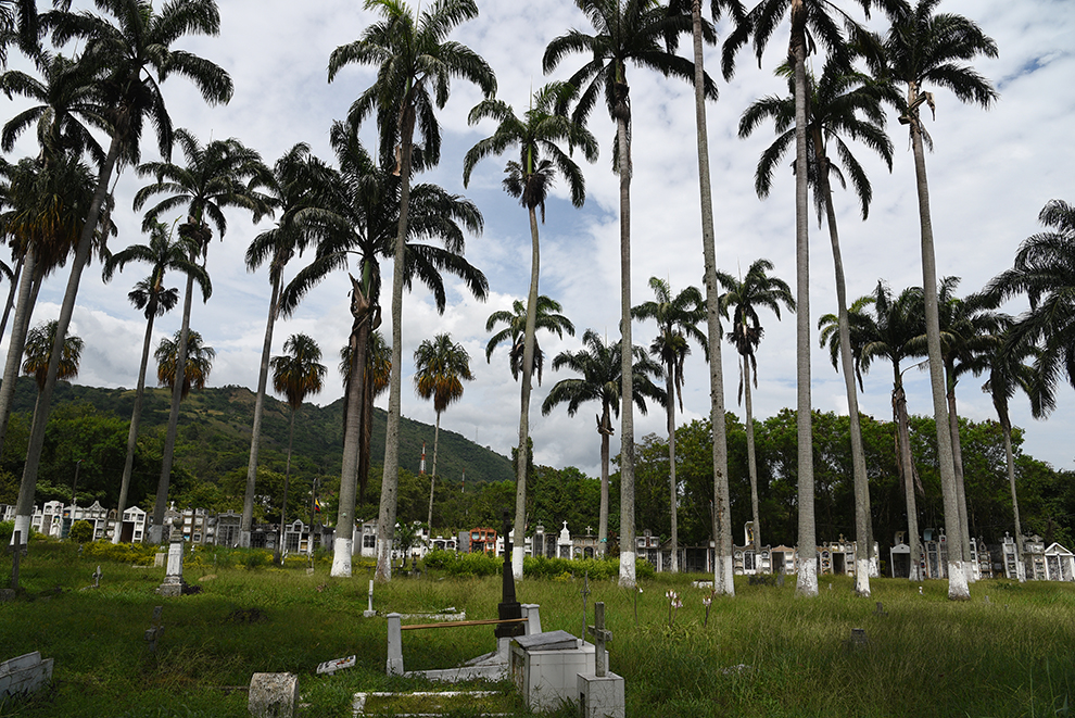 The cemetery