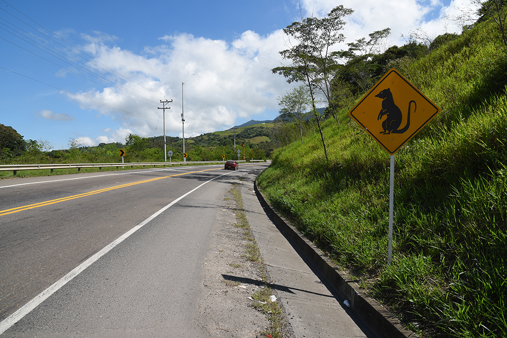 Funny road signal