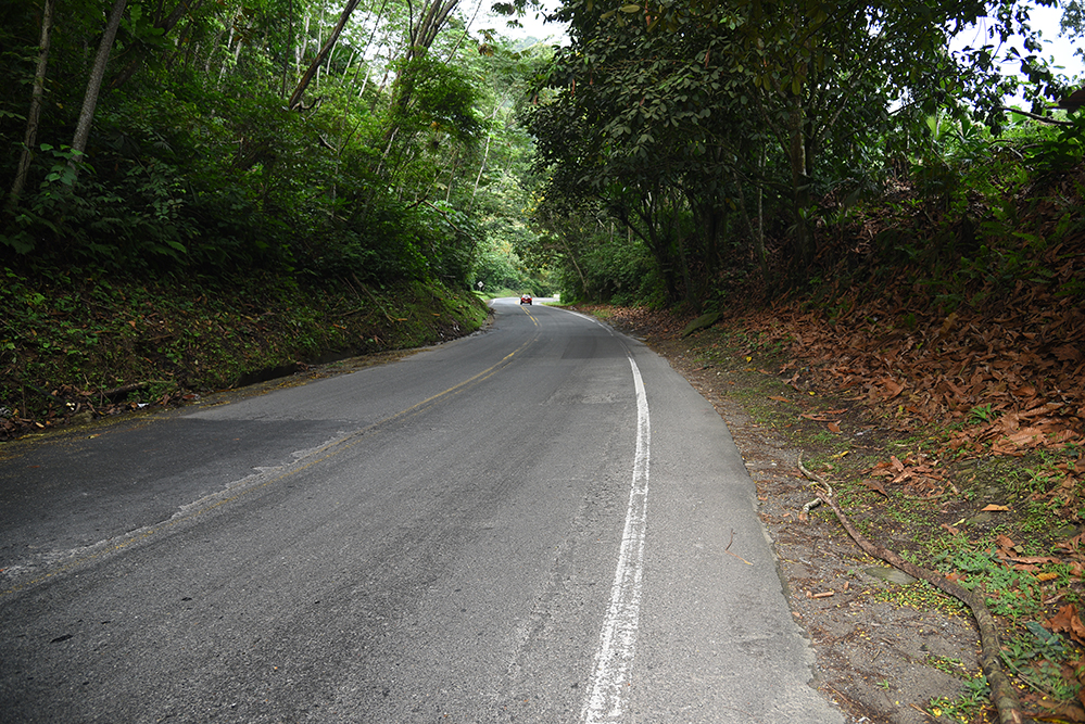  Traveling through the jungle